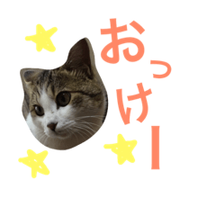 [LINEスタンプ] chapy