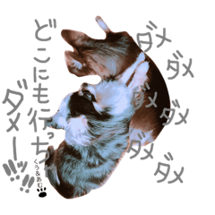 [LINEスタンプ] くう＆あむ