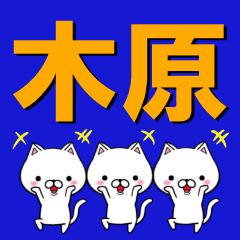 [LINEスタンプ] 超★木原(きはら・きのはら)なネコの画像（メイン）