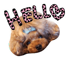 [LINEスタンプ] my poodles...