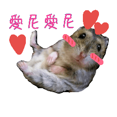 [LINEスタンプ] murmur hamsters