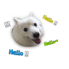 [LINEスタンプ] dog and me