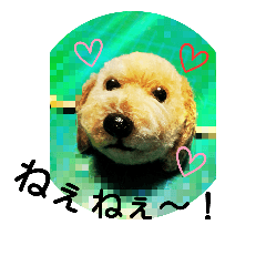 [LINEスタンプ] 動物ポンポン