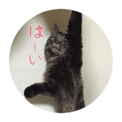 [LINEスタンプ] かわいいうめ