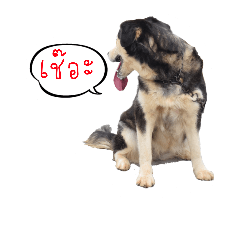 [LINEスタンプ] Wanlee cute dog