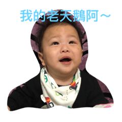 [LINEスタンプ] Chen Chen and Ting Ting os