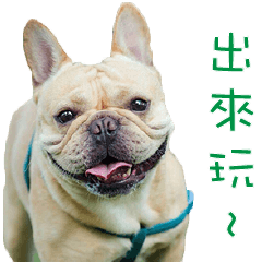 [LINEスタンプ] French Bulldog Fatty