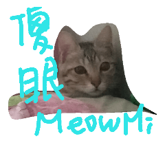 [LINEスタンプ] Cat PeeDan feat.BaoBao