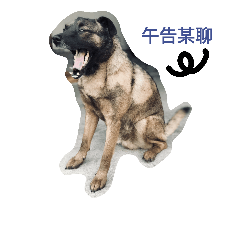 [LINEスタンプ] my doggggggg