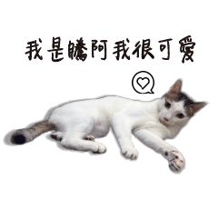 [LINEスタンプ] Sonia mao