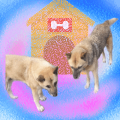 [LINEスタンプ] My house dogs