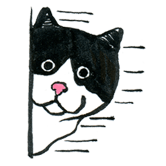 [LINEスタンプ] 可愛すぎる黒白猫みぃちゃんの毎日の画像（メイン）