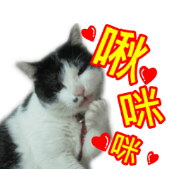 [LINEスタンプ] Cat ＆ dog love each other in family-Cat