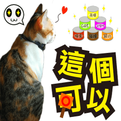 [LINEスタンプ] Meow emperor's daily of Meng Mei