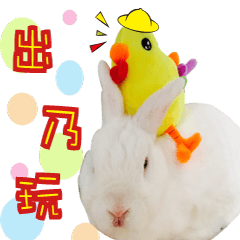 [LINEスタンプ] Kevin's Rabbit