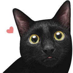 [LINEスタンプ] 苦悩の黒猫