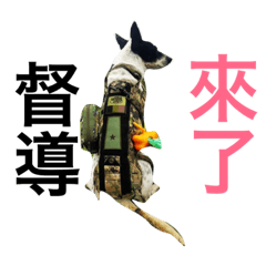 [LINEスタンプ] ARMY dog life