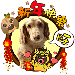 [LINEスタンプ] Lucas-happy New Year