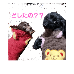 [LINEスタンプ] 小雪と葉月と小春