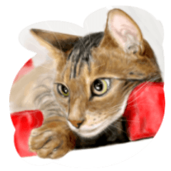 [LINEスタンプ] Lovely Cats +1 in The Blog 3