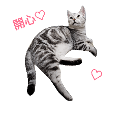 [LINEスタンプ] MoCat-the first one