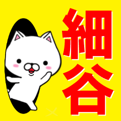 [LINEスタンプ] 超★細谷(ほそや・ほそたに・ほさや)なネコの画像（メイン）