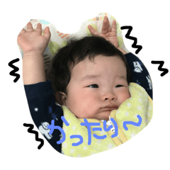 [LINEスタンプ] こっちゃん295222