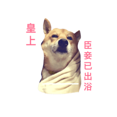 [LINEスタンプ] crazy fat dog