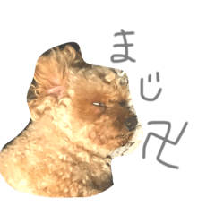 [LINEスタンプ] 寧音叶音①