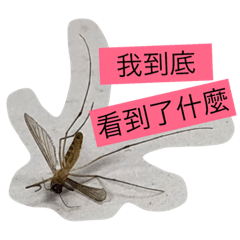 [LINEスタンプ] Mosquito bites.