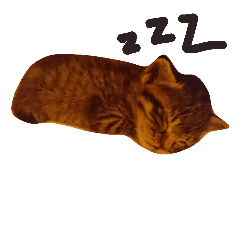 [LINEスタンプ] sleeping anan