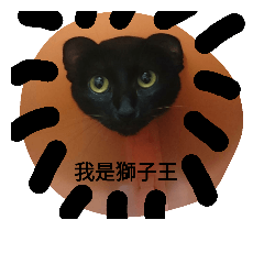 [LINEスタンプ] black cat m