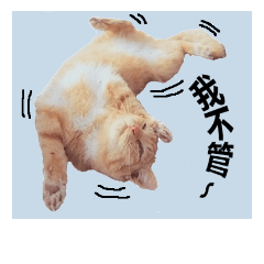 [LINEスタンプ] stray cat orange