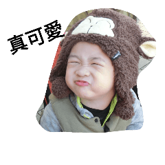 [LINEスタンプ] Funny DoDo Han