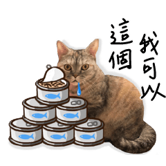 [LINEスタンプ] Yan Suji- A tsundere cat's daily life