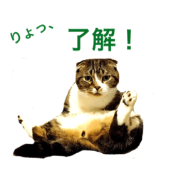 [LINEスタンプ] ぷうちゃんスタンプ2