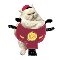 [LINEスタンプ] SuperFat Cat！