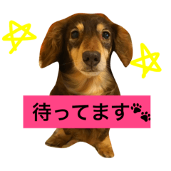 [LINEスタンプ] マロンくんの日常スタンプ3