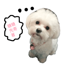 [LINEスタンプ] LuLu  Baby