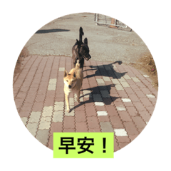 [LINEスタンプ] my doggy.