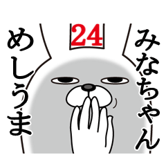 [LINEスタンプ] みなちゃんが使う面白名前スタンプ24